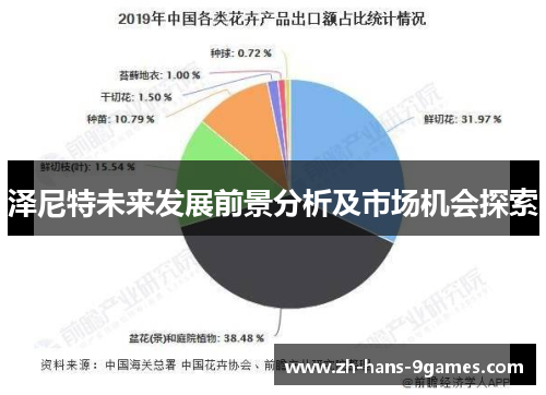 泽尼特未来发展前景分析及市场机会探索